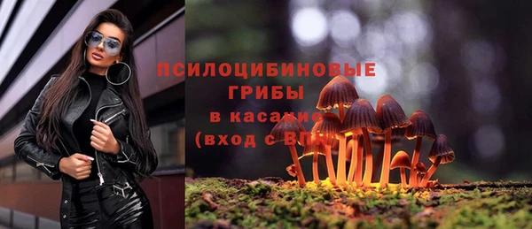 Альфа ПВП Верхний Тагил